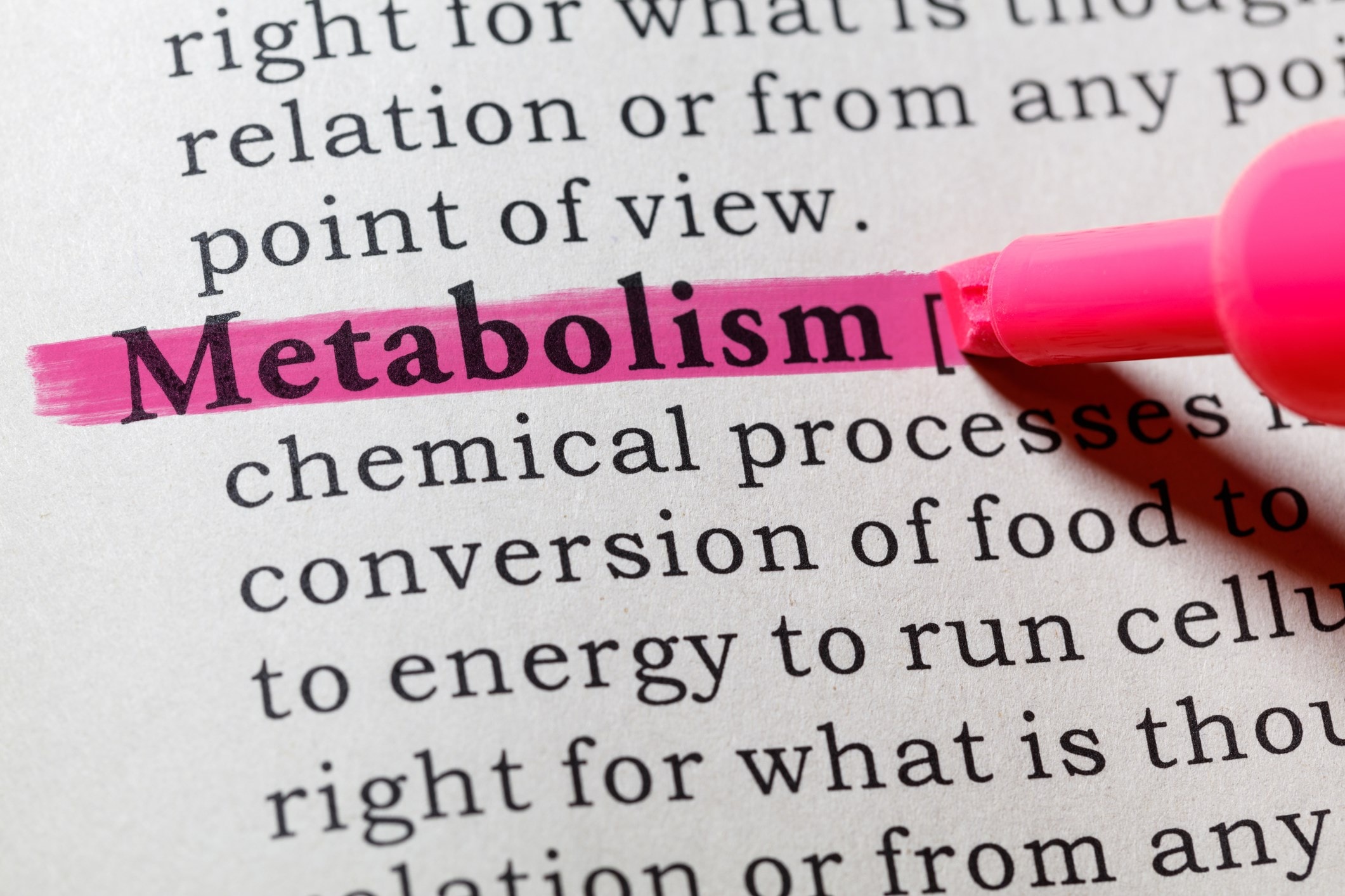 word metabolism highlighted