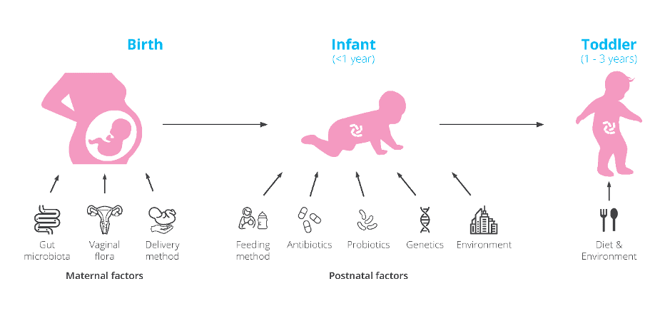 factors that can impact infant microbiome 