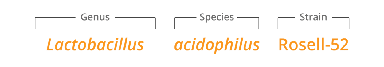 rosell 52 genus species & strain