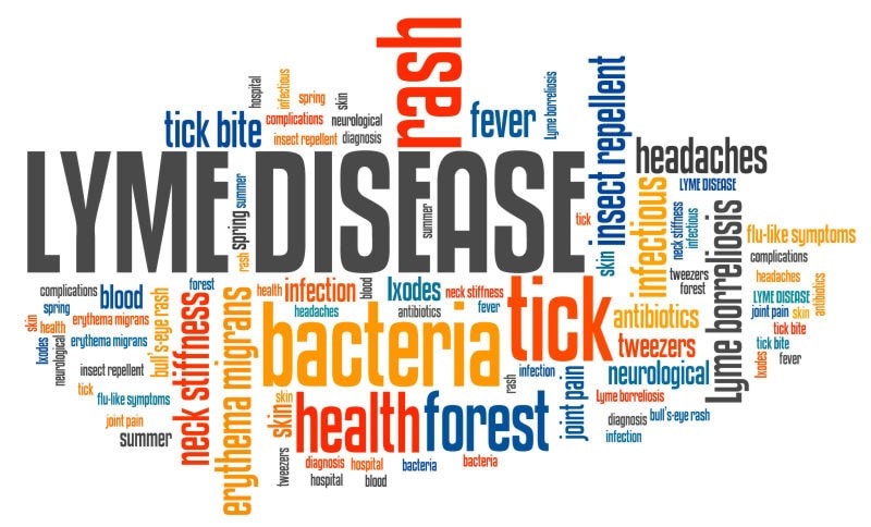 words associated with lyme disease