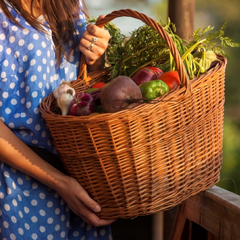 General Health Probiotics Learning Lab