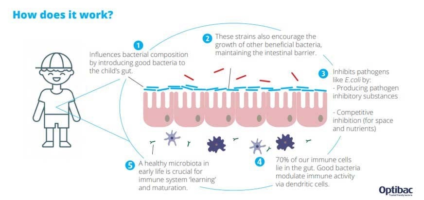 Children's microbiome