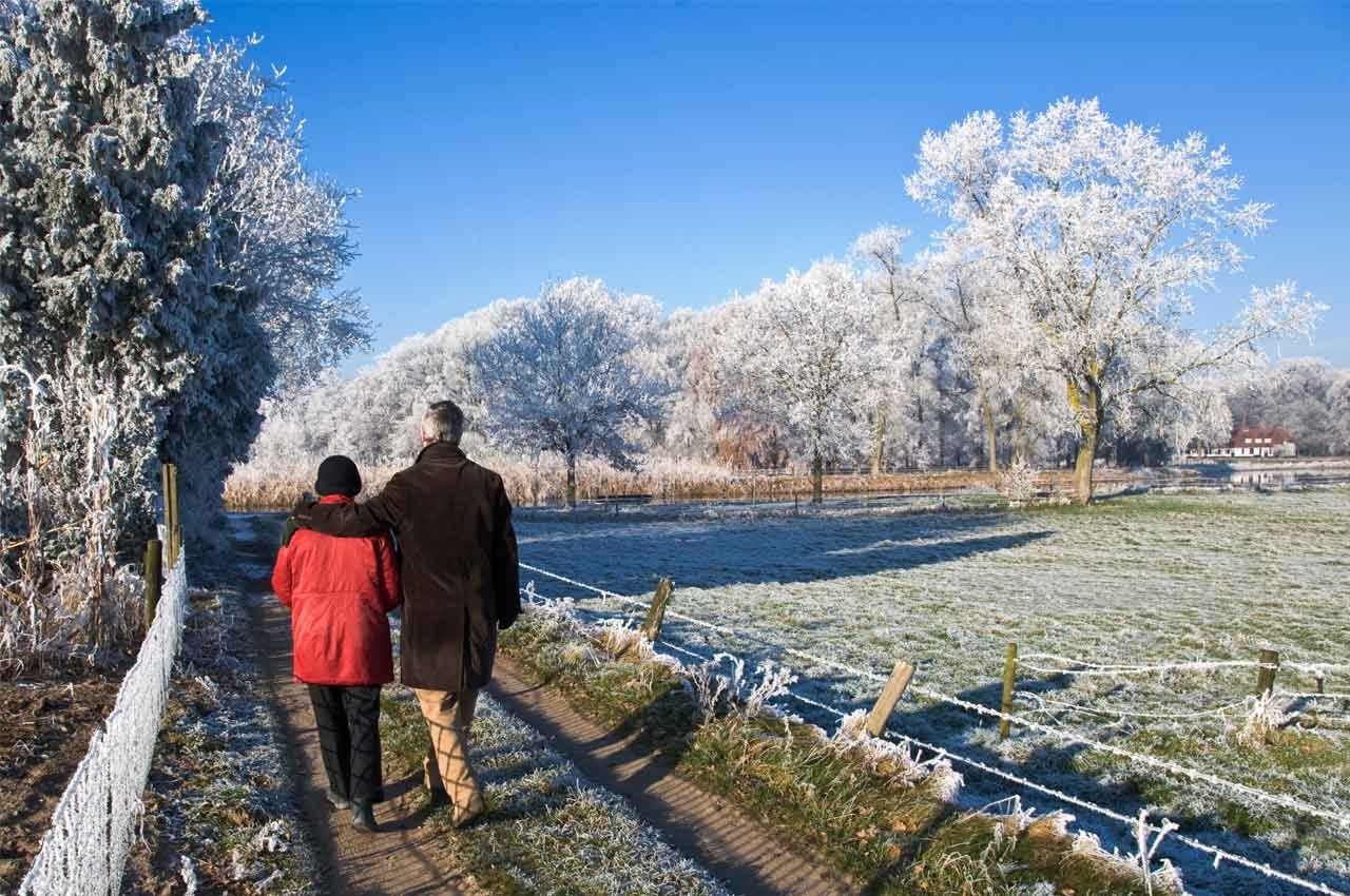 winter walk