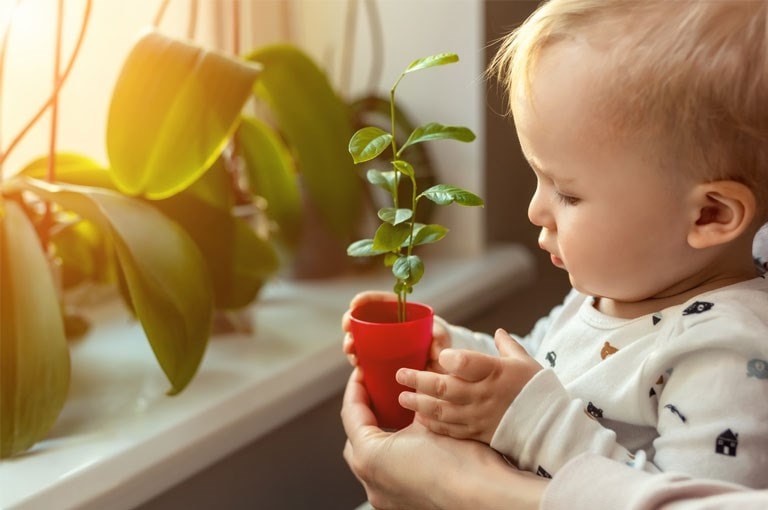 Vitamin D may influence a child's microbiome