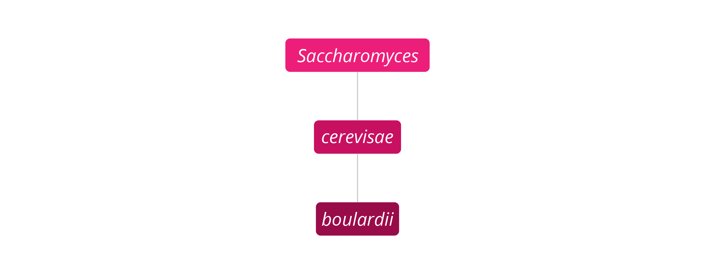 Saccharomyces boulardii strain family 