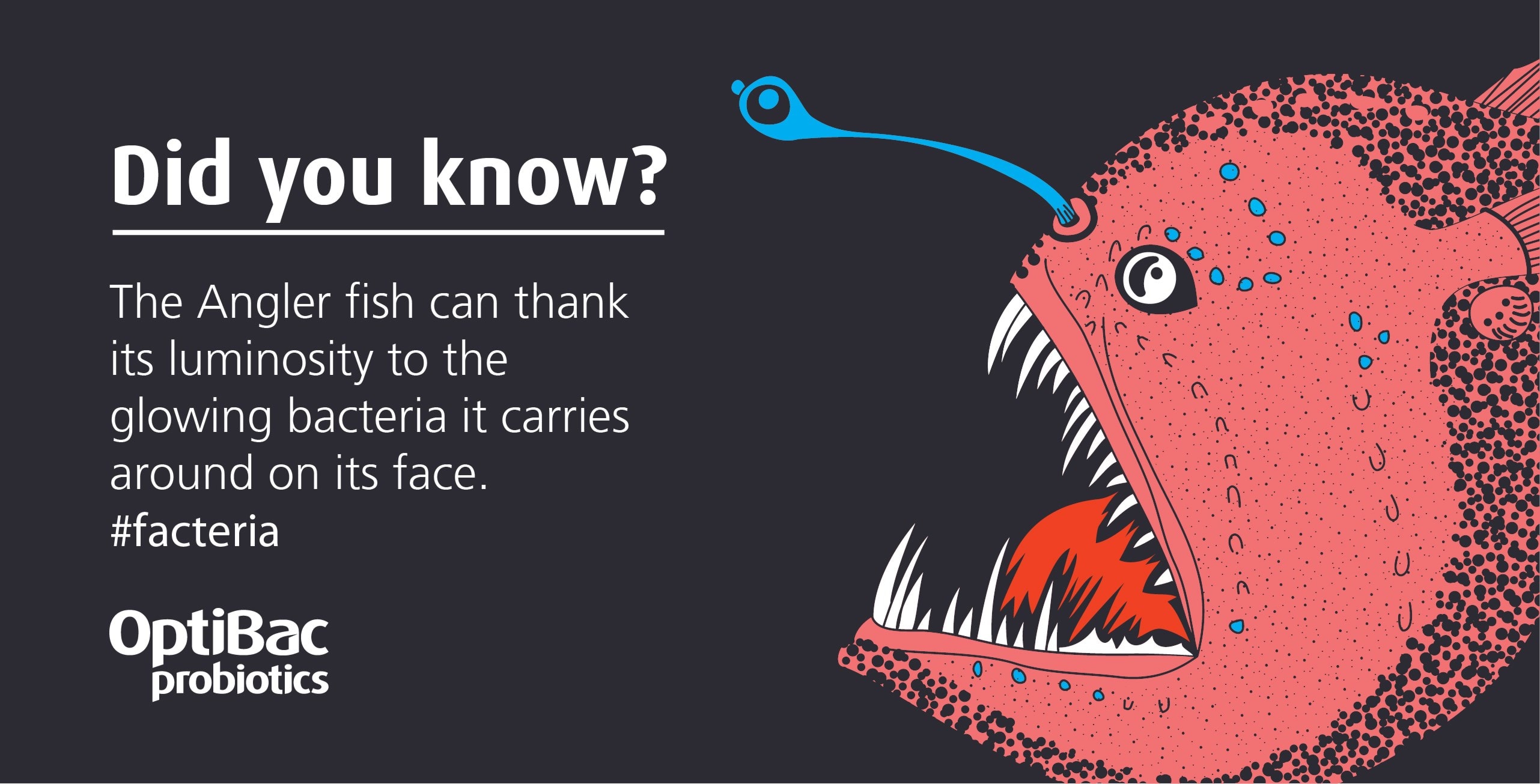 probiotics fact about angler fish