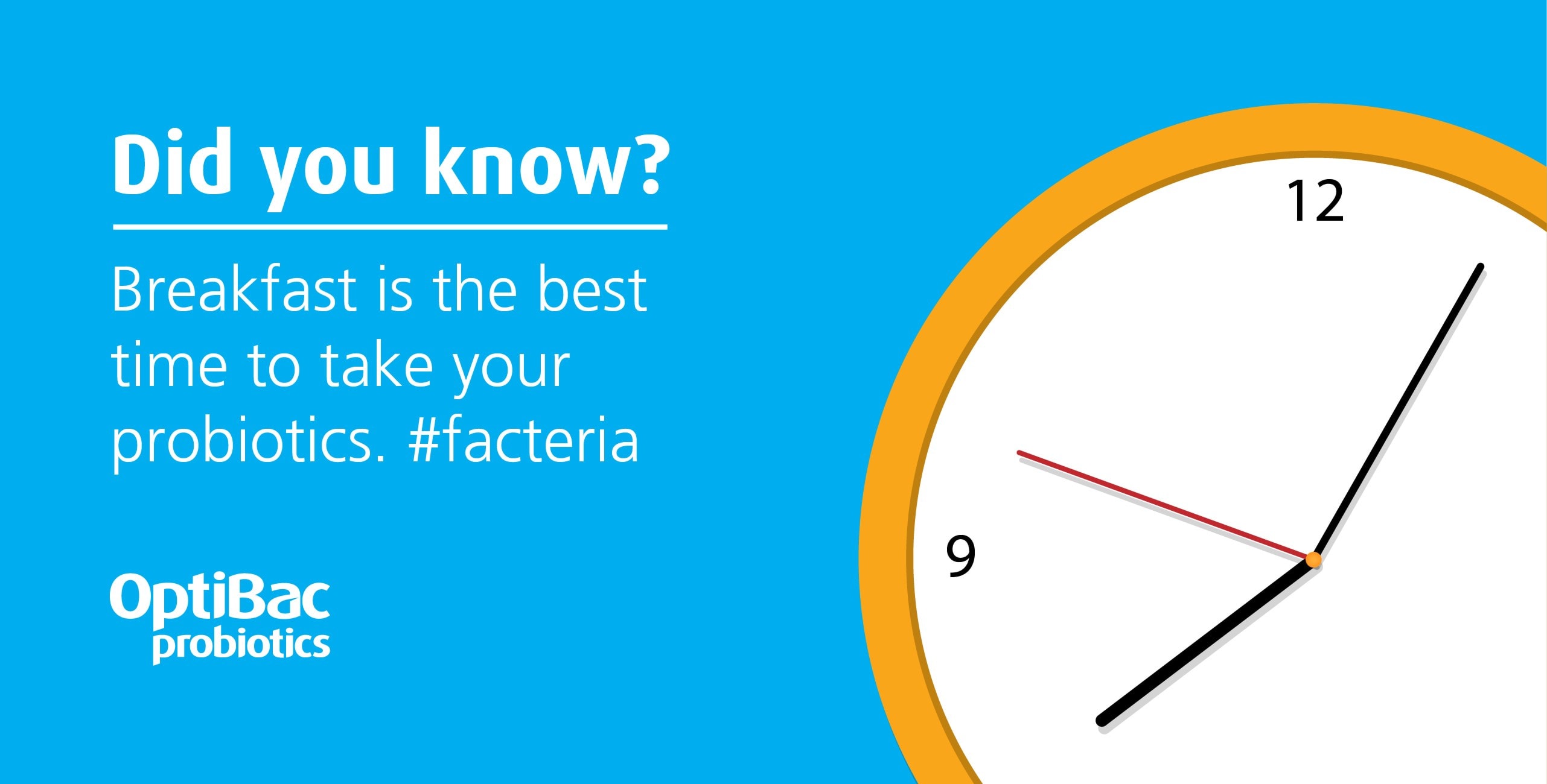 breaksfast is the best time to take probiotics