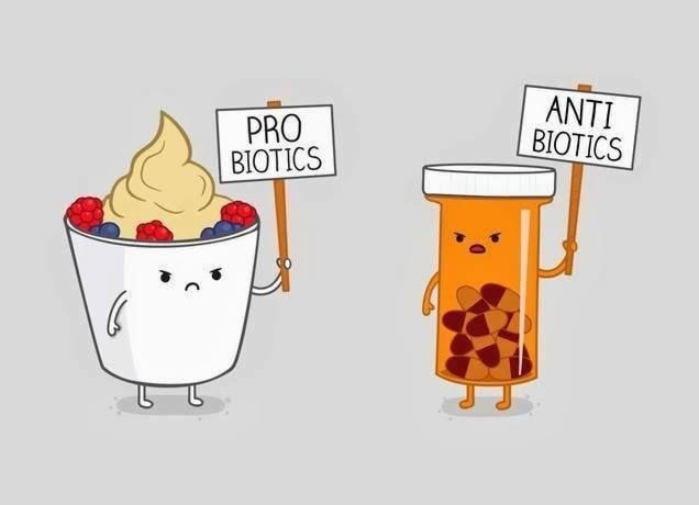 cartoon image probiotic with antibiotic