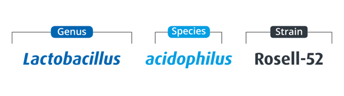 Genus, species, strain for Lactobacillus acidophilus Rosell-52
